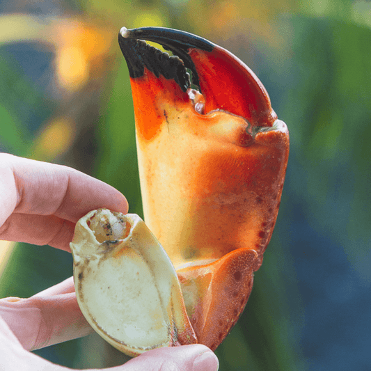 How to Eat Stone Crab Claws