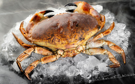 Do Stone Crab Claws Grow Back?
