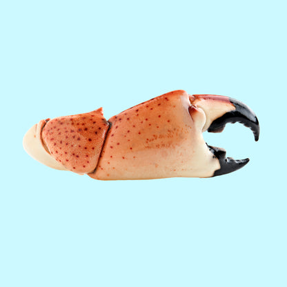 Jumbo Stone Crab Claws