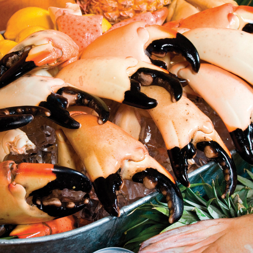 Large Stone Crab Claws
